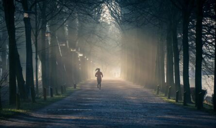 person running near street between tall trees