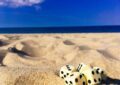 five dice on sand