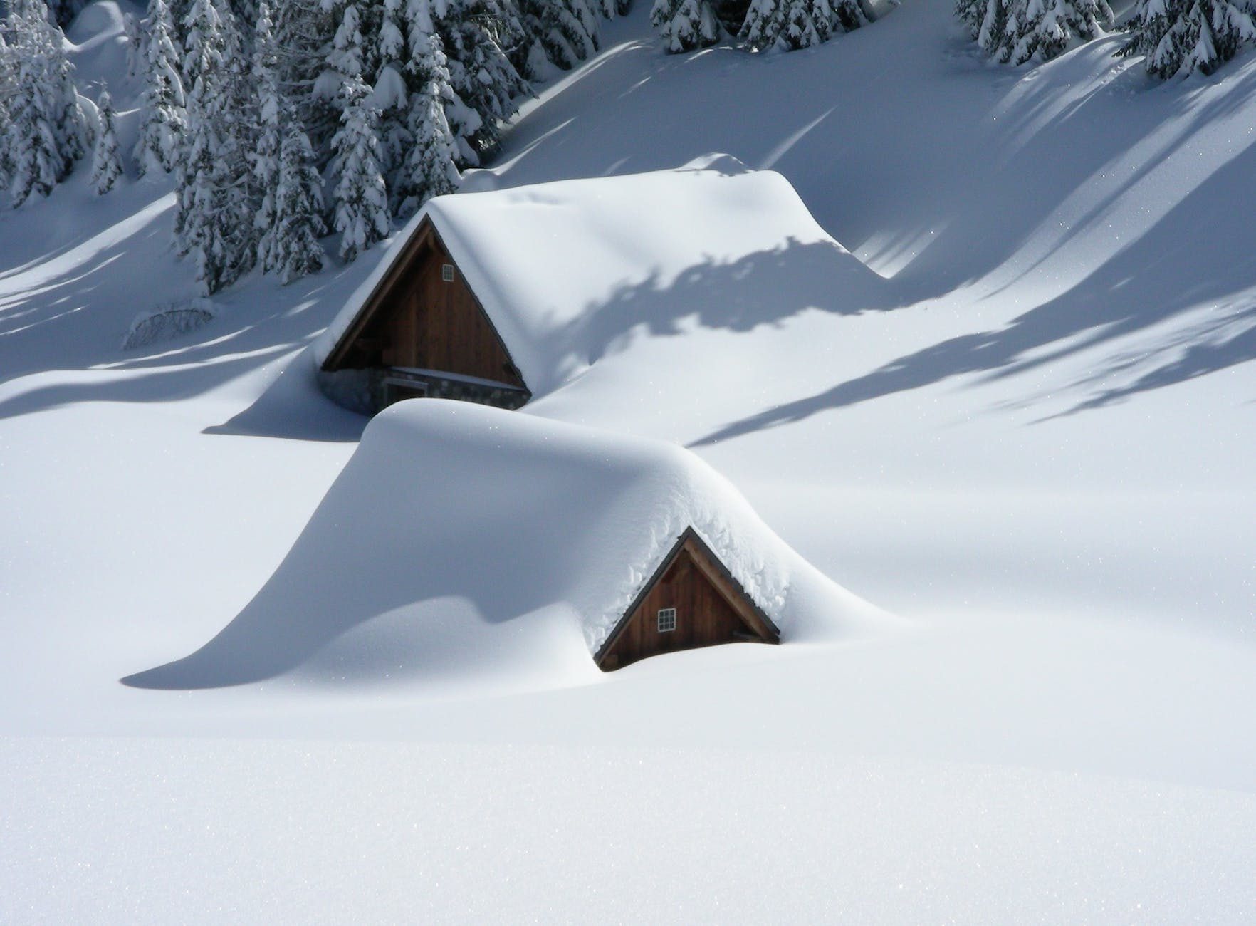 brown wooden house covered with snow near pine trees, View of portfolio income in early retirement