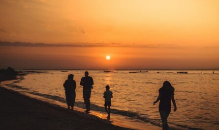 silhouette of people walking on seashore during sunset